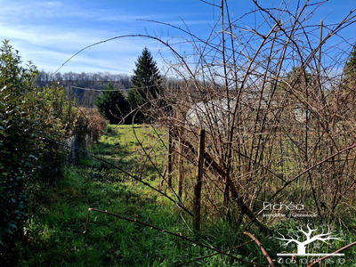 Maison ancienne - 109 m² - 3 pièces