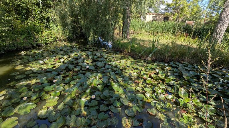 Maison - 56 m² - 3 pièces