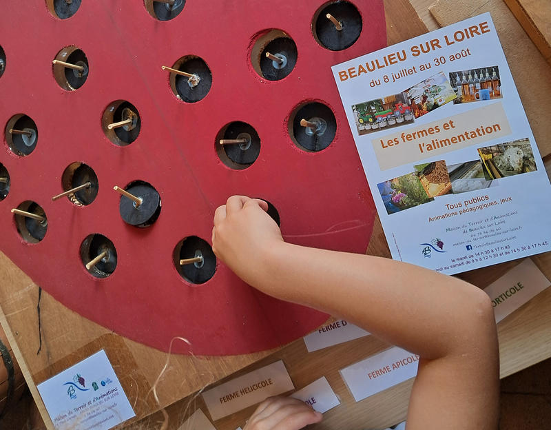 Animation de l'été "Productions locales, un lien avec le monde végétal"