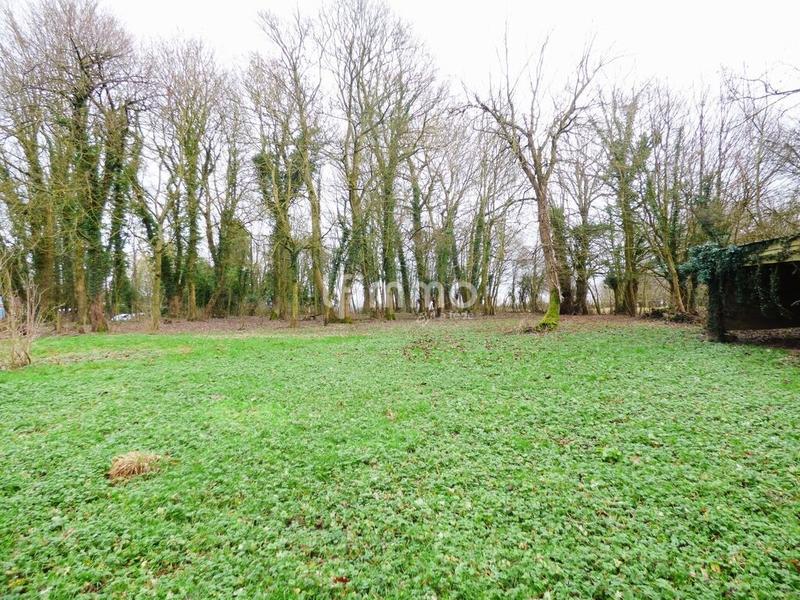 Ferme - 244 m² - 10 pièces