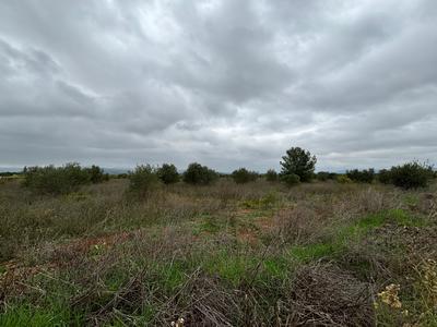 Terrain agricole - 12 476 m²