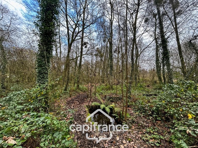 Maison - 220 m² - 10 pièces