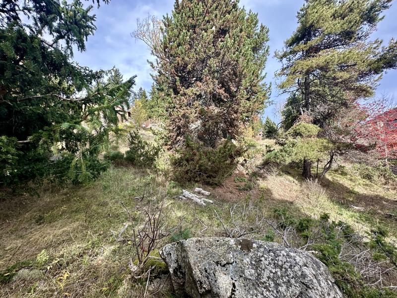 Terrain constructible - 1 572 m²