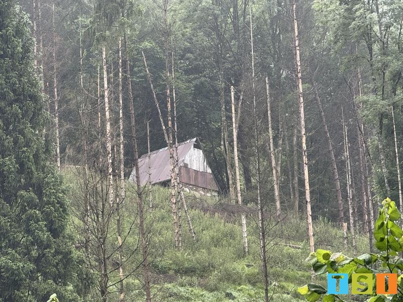 Maison - 25 m² - 1 pièce