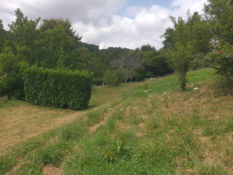 Propriété - 153 m² - 8 pièces