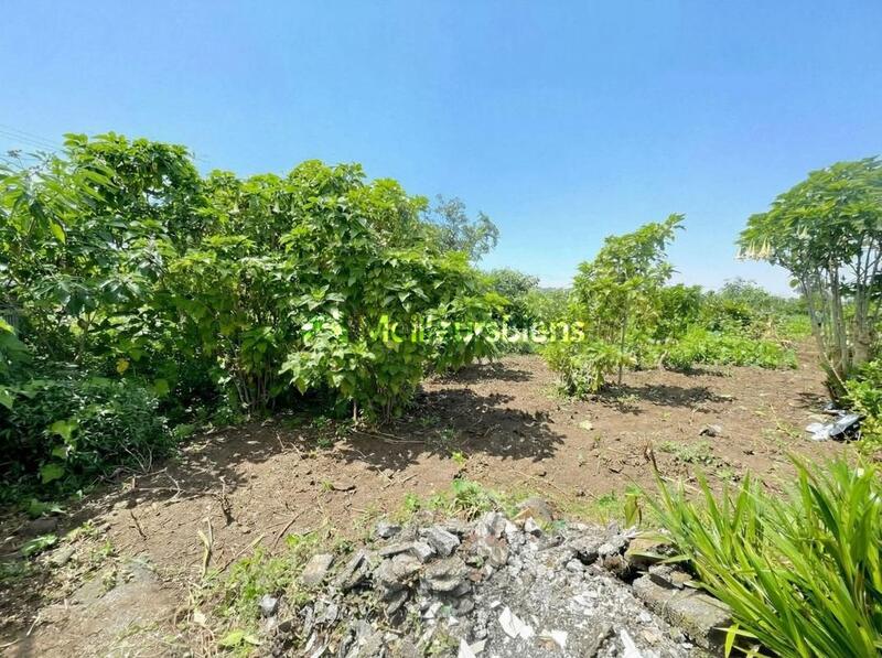 Terrain constructible - 1 427 m²