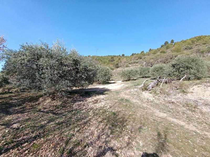 Terrain - 1 840 m²