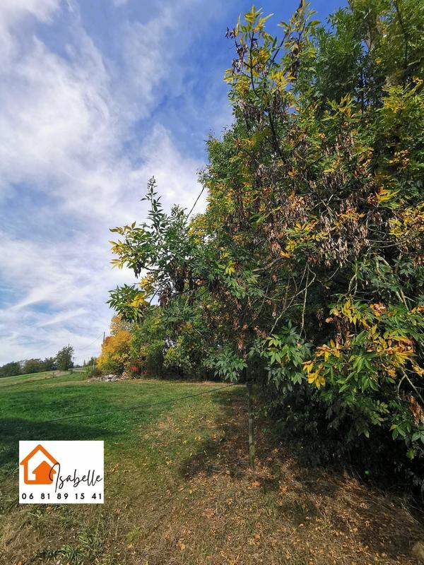 Maison - 235 m² - 8 pièces