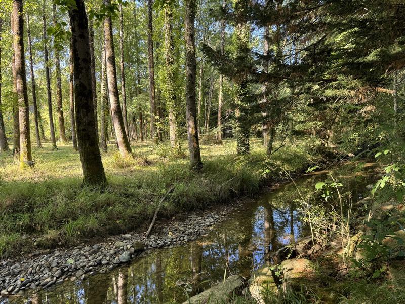 Maison - 175 m² - 6 pièces