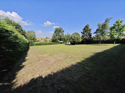 Terrain - 981 m²
