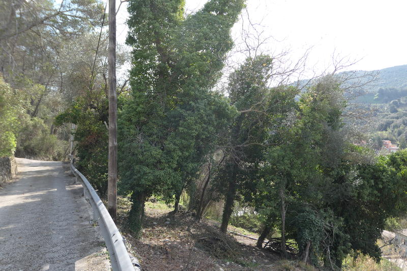 Terrain constructible - 2 000 m²