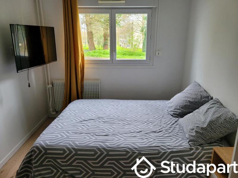 Chambre - 10 m² - 1 pièce