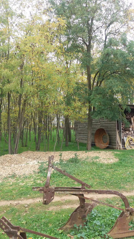 Maison - 245 m² - 7 pièces