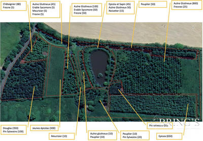 Terrain de loisirs - 47 800 m²