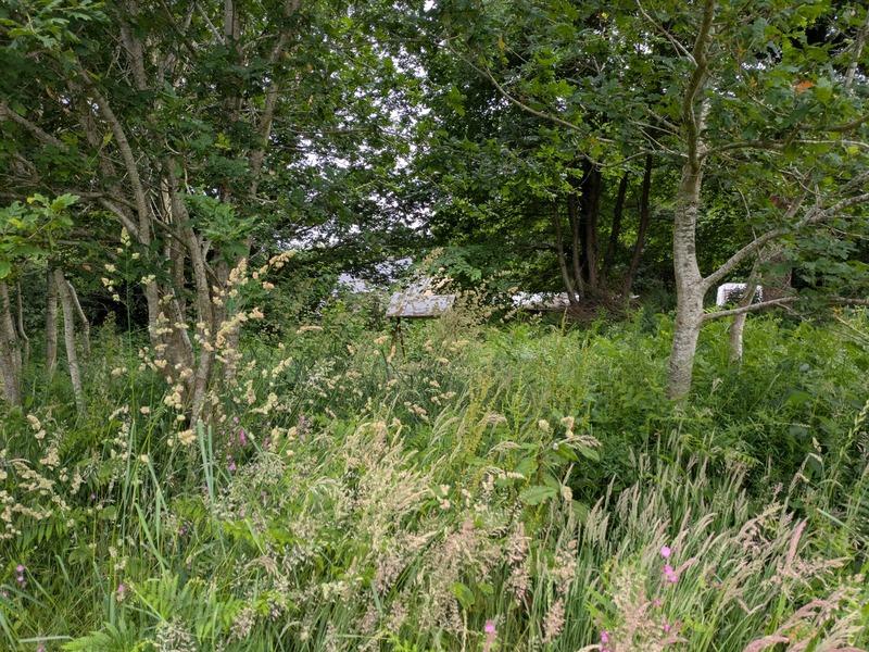 Maison de campagne - 50 m² - 2 pièces