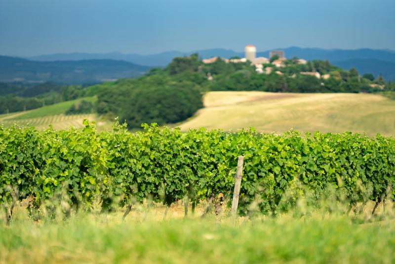 Terrain agricole - 360 000 m²