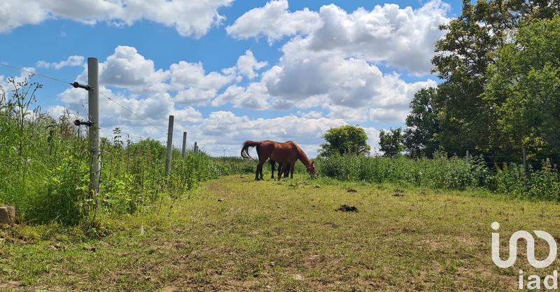 Maison - 165 m² - 7 pièces