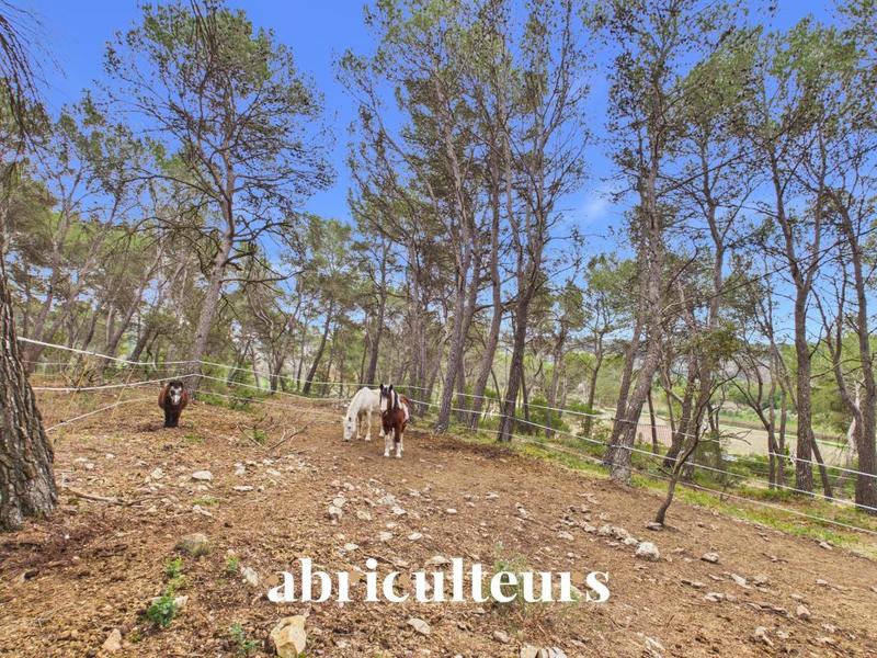 Maison ancienne - 66 m² - 3 pièces