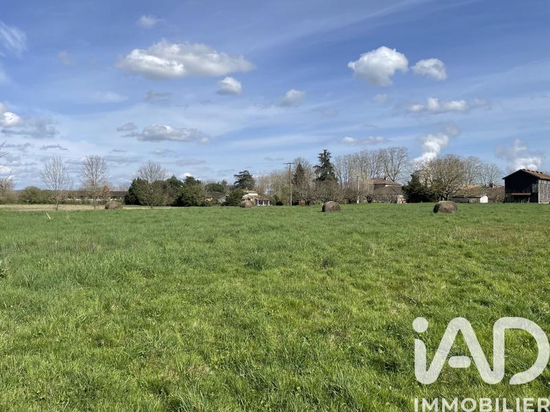 Terrain - 12 000 m²