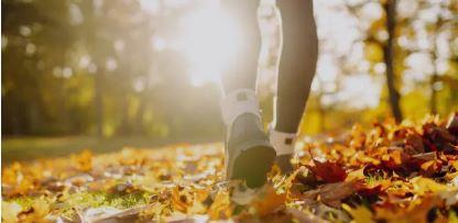 Balade patrimoine artisanal et commercial - bourg de Fenioux