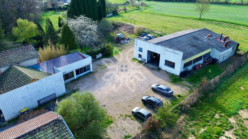 Local commercial - 520 m²