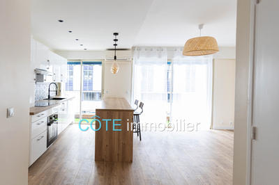 Appartement - 50 m² - 2 pièces