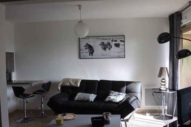 Studio - 35 m² - 1 pièce