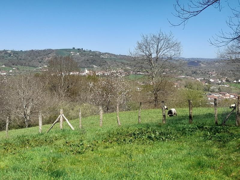 Propriété - 220 m² - 8 pièces