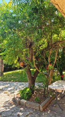 Maison - 169 m² - 6 pièces