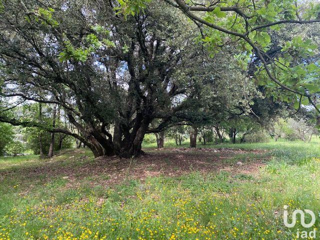 Maison - 220 m² - 7 pièces