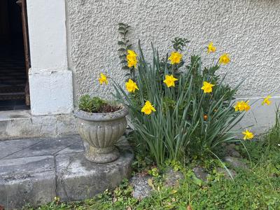 Maison de maîtres - 215 m² - 6 pièces