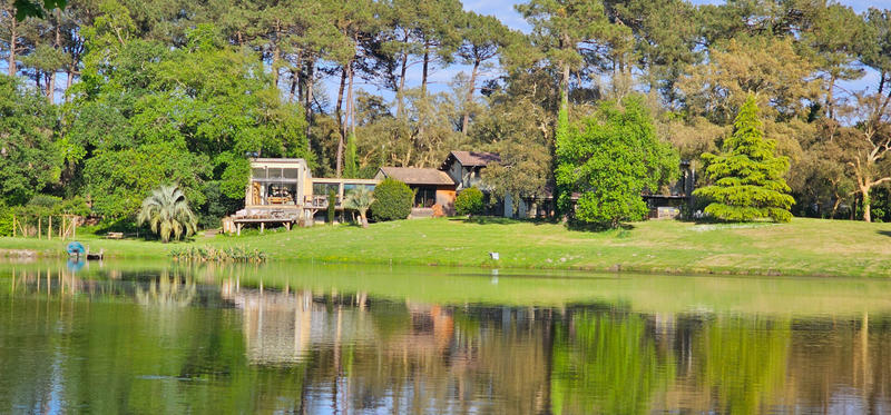 Demeure - 540 m² - 7 pièces