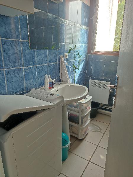 Studio - 19 m² - 1 pièce