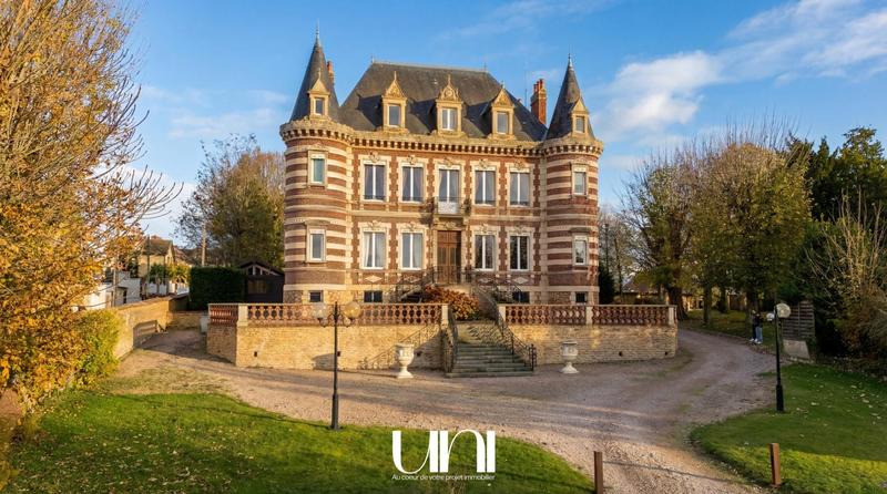 Château - 700 m² - 19 pièces