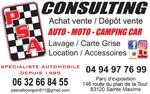 Psa Consulting Automobile