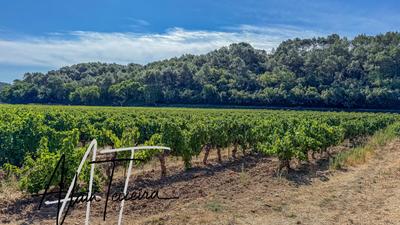 Terrain agricole - 33 300 m²