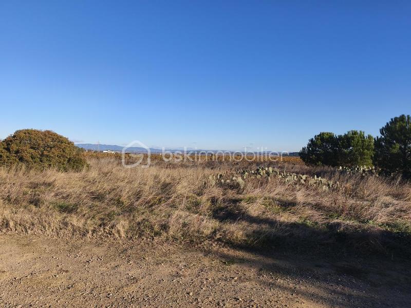Terrain agricole - 35 000 m²