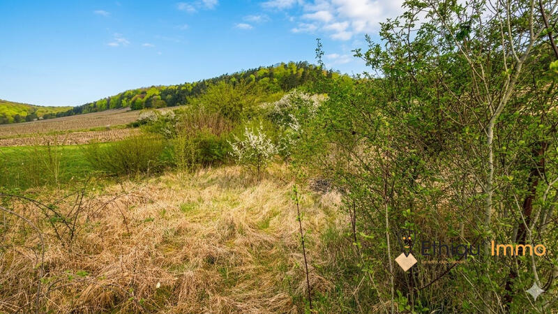 Parking / Garage - 78 m²