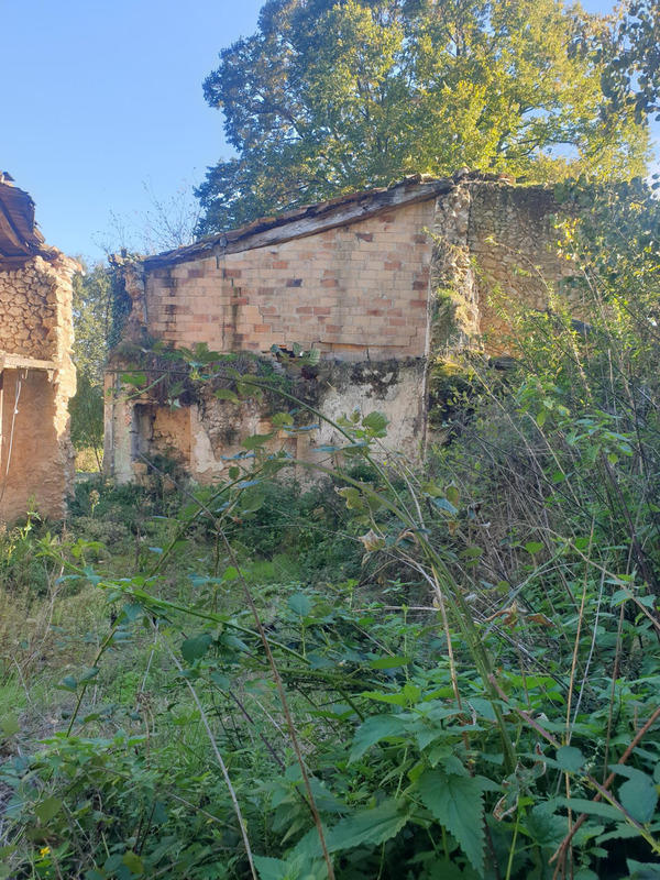 Maison - 37 m² - 2 pièces