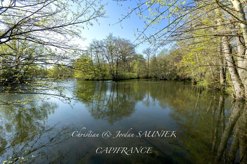 Propriété - 391 m² - 10 pièces