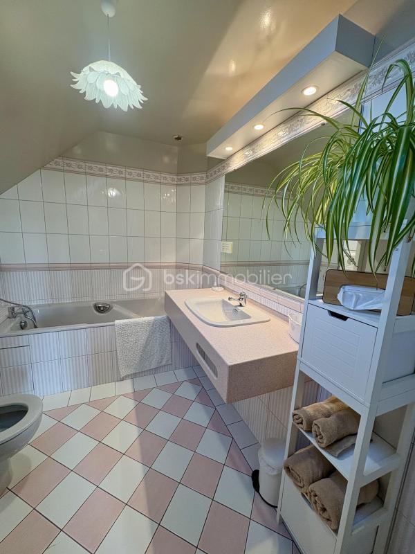 Moulin - 297 m² - 9 pièces