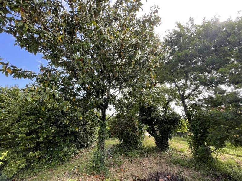 Terrain constructible - 430 m²
