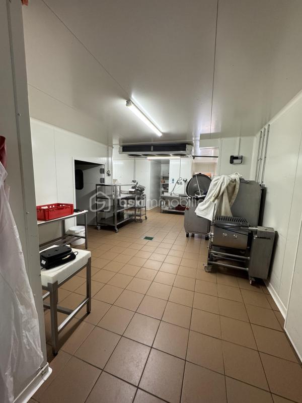 Local d'activité / Entrepôt - 316 m² - 10 pièces