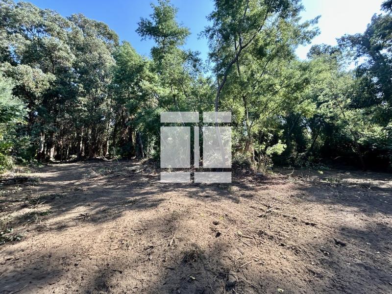 Maison - 260 m² - 9 pièces