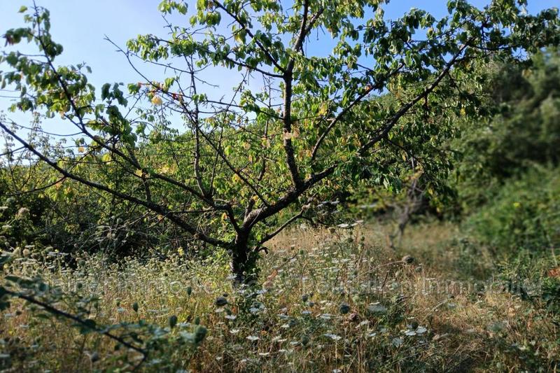 Terrain agricole - 1 968 m²