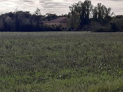 Maison - 205 m² - 6 pièces