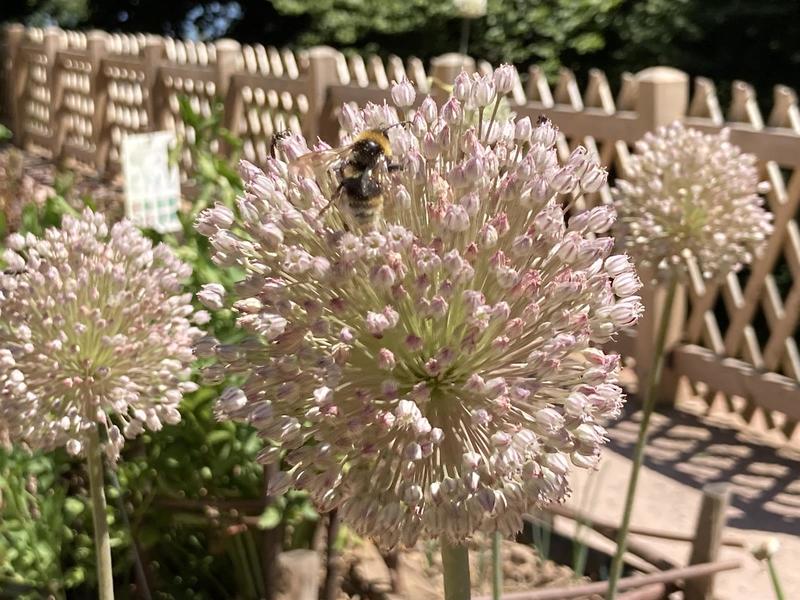 Rendez-vous aux jardins