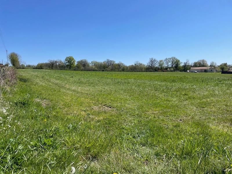 Terrain - 17 856 m²