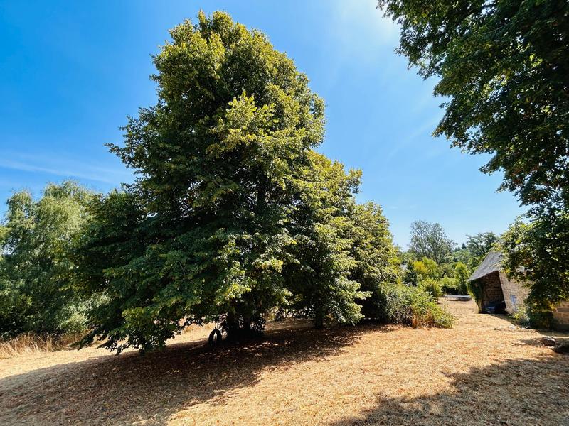 Maison - 420 m² - 12 pièces