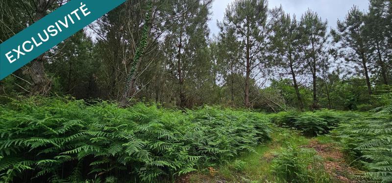 Terrain agricole - 5 640 m²